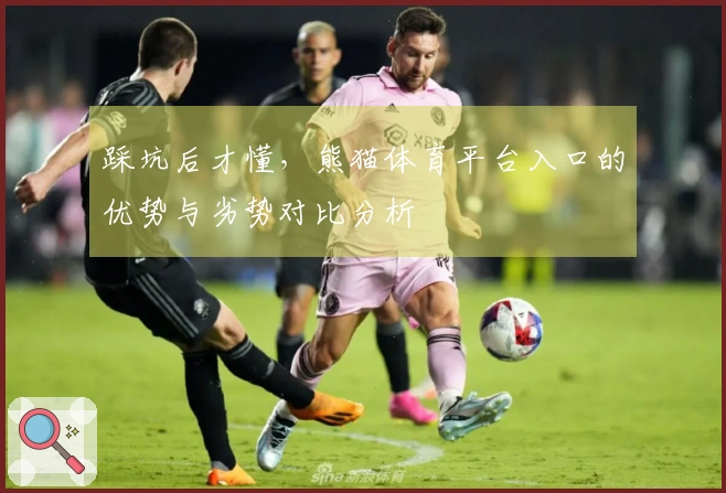 踩坑后才懂，熊猫体育平台入口的优势与劣势对比分析