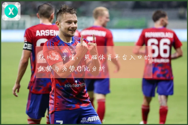 踩坑后才懂，熊猫体育平台入口的优势与劣势对比分析