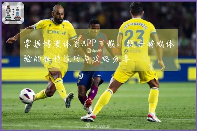 掌握博澳体育APP下载，提升游戏体验的独特技巧与攻略分享